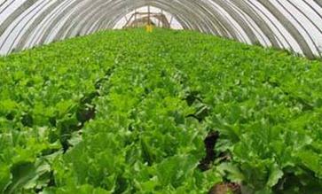 ����ʲô�r����Ҫʩ�ʣ����_���չ��ߵ��Ĵ�ʩ����