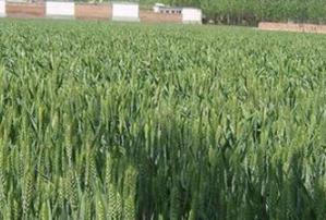 ʲô��̼����@��ʩ��̼����@ע�����