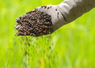 �ЙC�ʡ�΢��������������ЙC�ʣ��x���˜ʲ��Ժ�