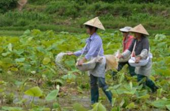 ���@��ʲô���ã��������ʩ���@���g��