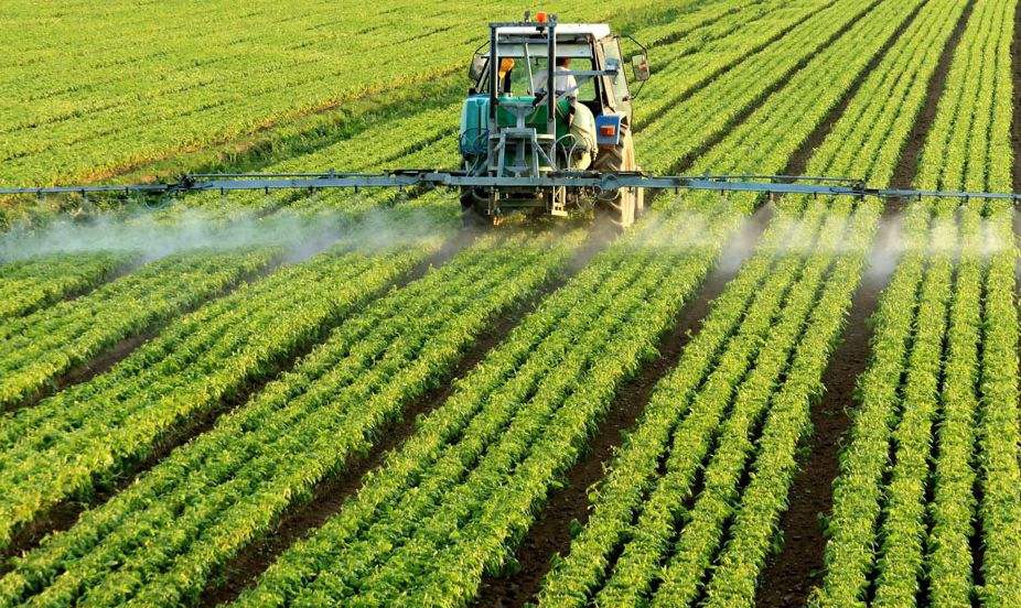 ����߀���@����;�����r�����r����������