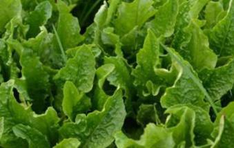 �߲�ȱ����ʲô�Y����ӿ��Կ����߲�ȱ����