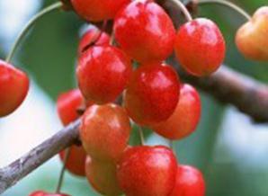 ��Ԫ����ʲô����������ȱ����ʲô�����