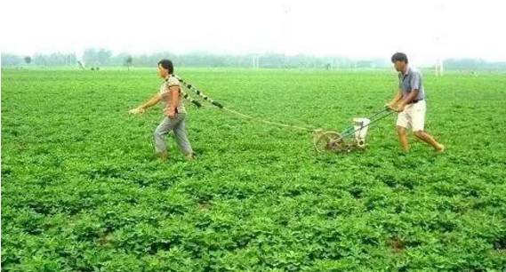 �@���N���ϴ���ʹ�ã�Ч�������