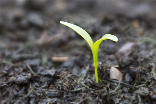 �@���N���ϴ���ʹ�ã�Ч�������