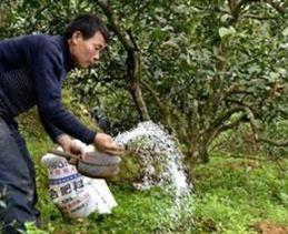 �����c�r(n��ng)�ҷʻ������Щ��̎��?j��)��߻��õ���Ҫ�? /></a></td>
                <td><b><a href=