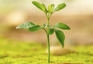 ������_ʩ���~��ʣ��~��ʵĿƌWʩ�ü���