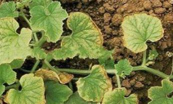 ��β��ܴ���ʩ���׷ʣ��׷��^����ʲô�����