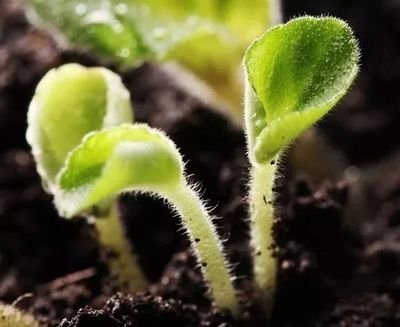 �ЙC�|����ֳ�|����ֳ�ᵽ����ɶ�^�e��