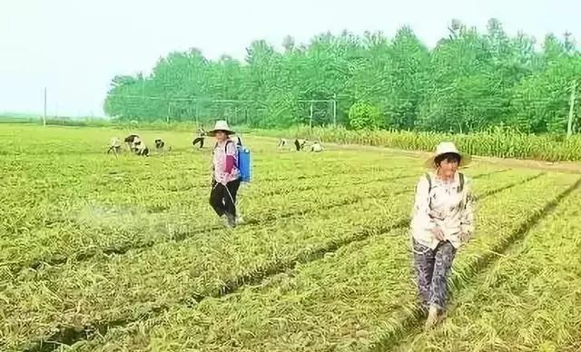 �����~��ʣ���ʡ�����X�����Ӵ_��ʹ��Ч����