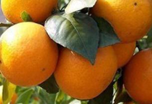 ��������С���У����_ʩ�ʿɽo��������