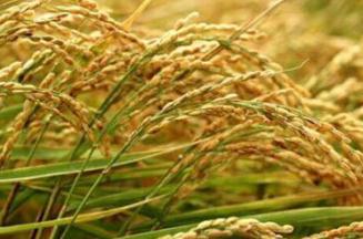 ˮ����(y��ng)��ʩ���ʣ�ˮ��ʩ�����^(gu��)����(d��o)�µ�Σ����