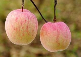 �O������׷�ʺ��P�I