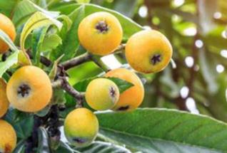 �������ʩ�ʴٸ߮a������ʩ�ʼ��g���Y