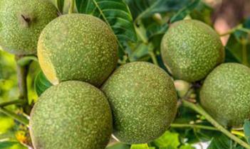 ɽ���Ҟ��Ҫʩ����ʣ�ʩ����ʵ���������Щ��