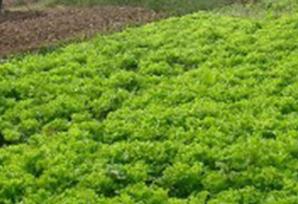 �\�ʞ��Ҫ�Ϊ�(d��)ʹ�ã��߲��a(b��)ʩ�\�ʵĳ�Ҋ�`�^(q��)