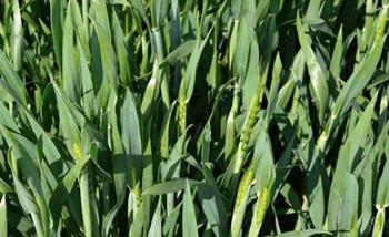 2019��С��?zh��n)�ô�r(sh��)��׷�ʱ��^�ã�