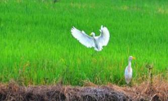 ������׷����ע��ʲô������׷�ʼ���