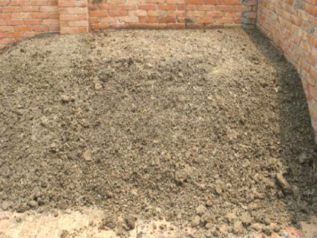 ����S����Ҫֱ��������