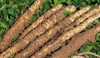 ɽˎ�߮a(ch��n)ʩ�ʼ��g(sh��)