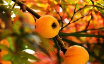 ɽ�����ˈ@���ʩ�ʣ����ˈ@������ʩ�ʷ���