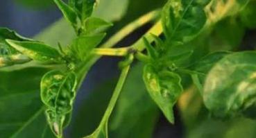 ��νo����˶�ʩ�ʣ�