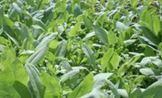 �����ЙC�ʵ���������Щ�������ЙC�ʺ���ʩ�Ì���