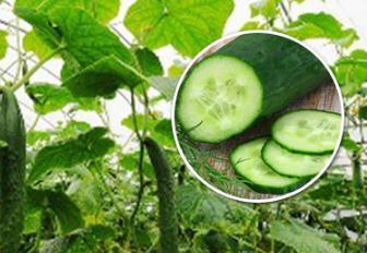 ʲô����ʣ��N�߲�ʩ��ʵĺ�̎����Щ��