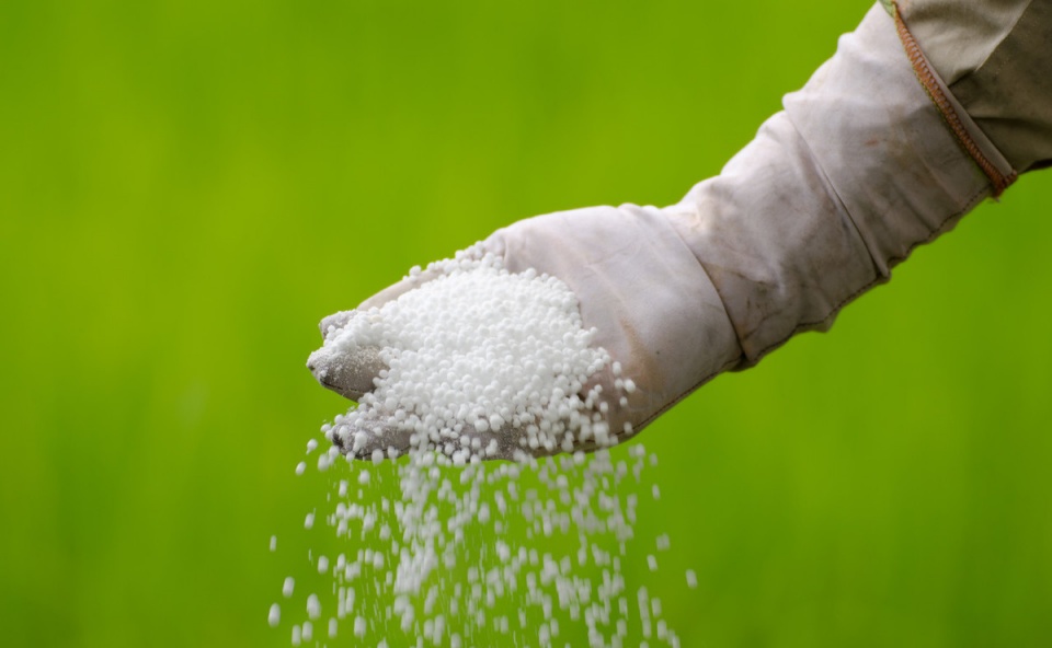 ʩ�������������������