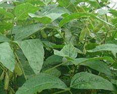 �󶹹���������M(j��n)�и��⇊��