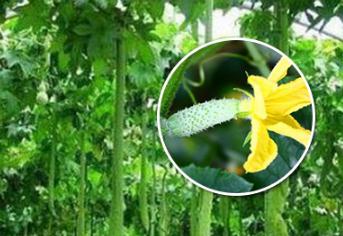 �ϲ�ʩ����ע����Щ���}���ϲ����ʩ�ʲ������a��