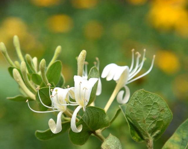 ���y���Źࡢʩ����ע����Щ���}��