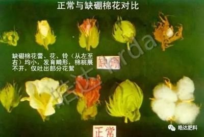 ����ȱ���������ӽoȱ����������a(b��)��