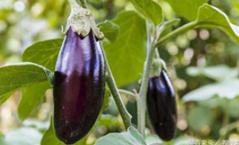 ��ô�����ӻ��λ������ӻ��λ����δ�ʩ