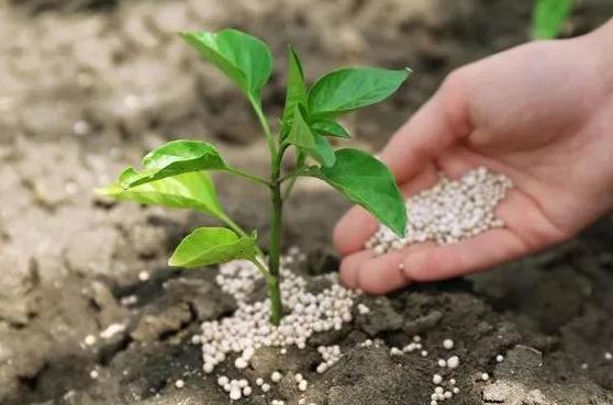 ���ρy���䣬��Ч���M�����ϻ�ʩ����Ч��������