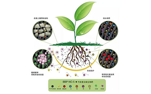 ���ʟ�����ʲô���µģ�����A����