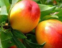 ����׷����ע����Щ���}������׷��ע�����