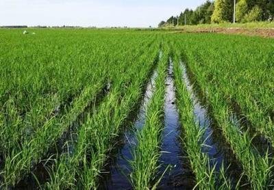 ⛷�ʩ�ü��ɺ���Ҫ��⛷ʵ����_ʩ�÷�