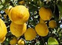 �Y(ji��)�����ʘ�(sh��)���ʩ�ʣ��Y(ji��)�����ʘ�(sh��)ʩ���֪