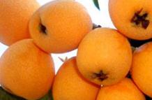 �˽�����������ԣ���������ʩ�ʼ���