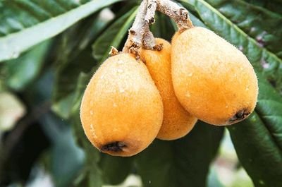 ����ʹ�������ЙC���֪���������g����