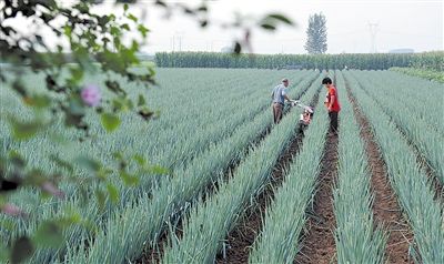 ���[ʩ����ע�↖�}�����[ʩ�ʼ���