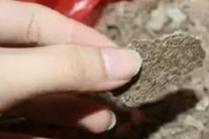 ���䠀����ԭ����֪���ᣬ��������η��Σ�