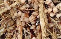 �P�ڸ�������֪�����٣�����ʹ�ø�����ʩ�ʣ�