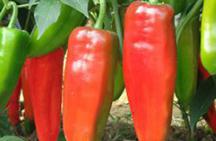 �ཷ���������c����������Լ�ʩ��ԭ�t