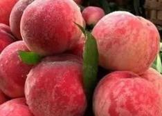 ������Ʒ�N�ɺ��ļ����Ĺܵķ�����