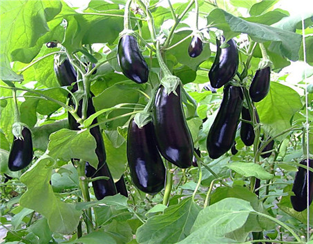 ����ʩ�ʲ��ɴ��⣬����ʩ������ע�����