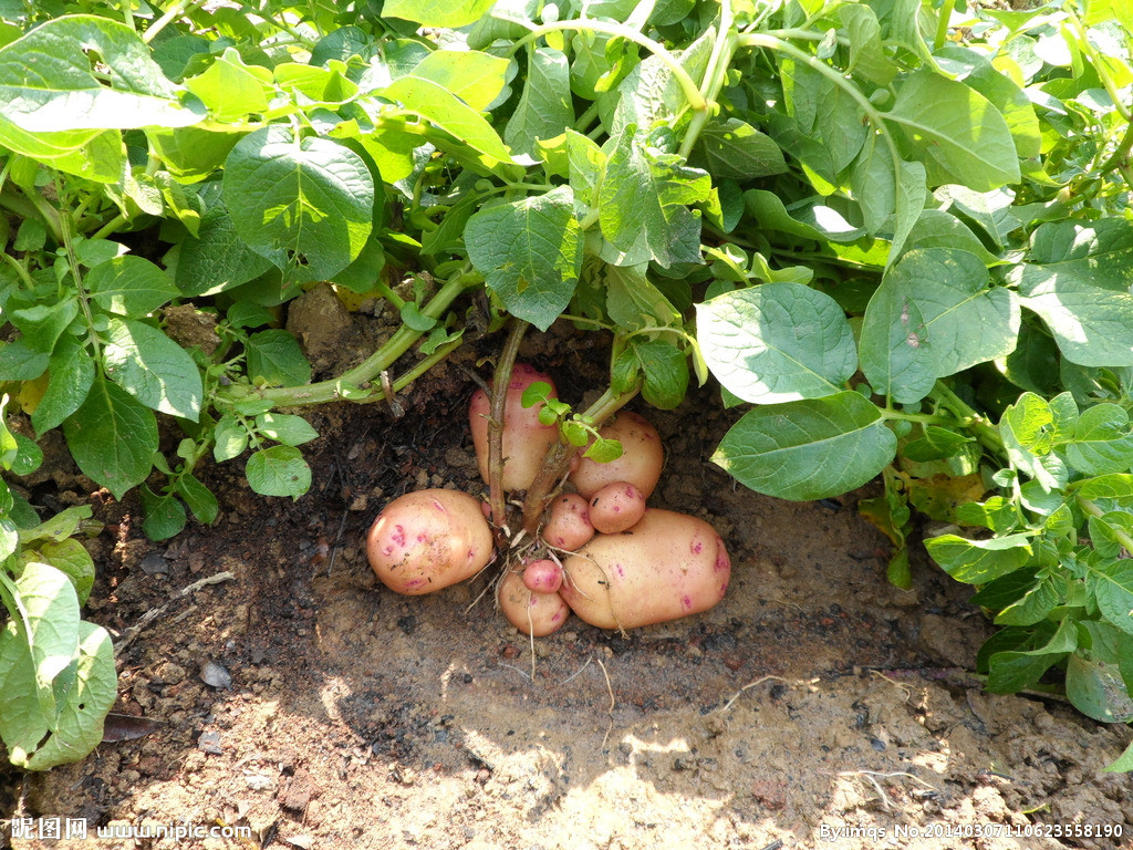 �����m������ô�ú��P�I��