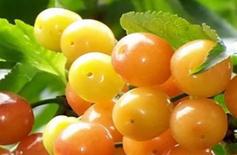 �����~��ʵķN�����Щ���䇊ʩ������֪��������