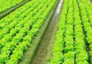 ʹ�þ���ע���������Щ������ʩ�ü���